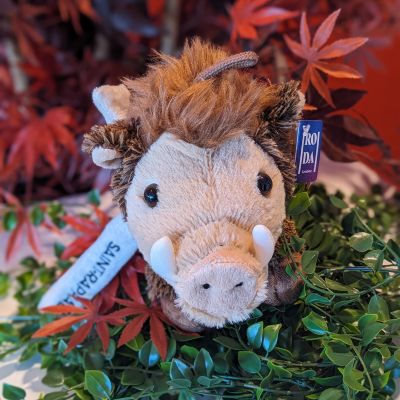 02 Peluches Renard   Sanglier (3)